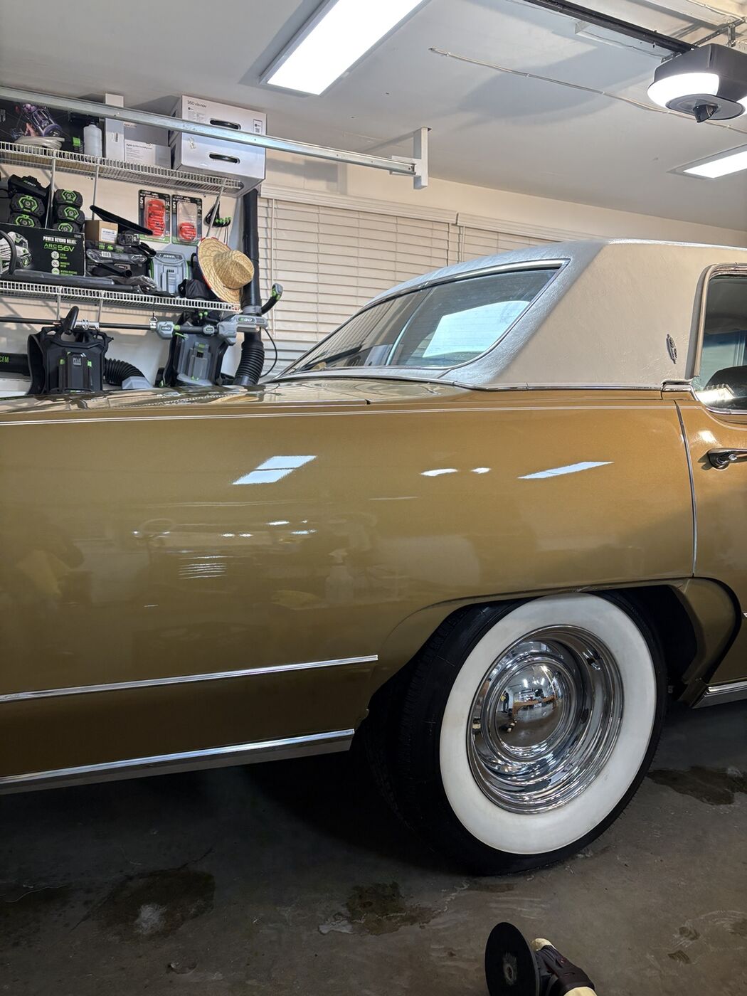 Polished classic car finish